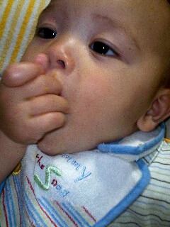 img20070928_1.jpg