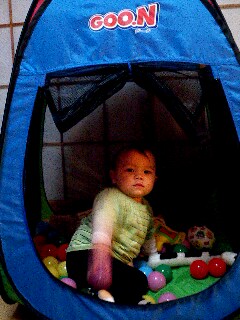 img20071116_4.jpg