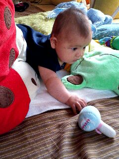 img20070528_1.jpg