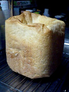 img20070305_4.jpg