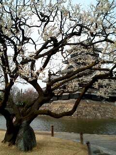 img20070403_1.jpg