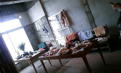 img20090129.jpg