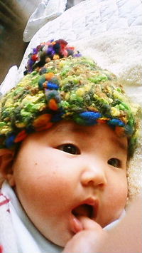 img20100126_4.jpg