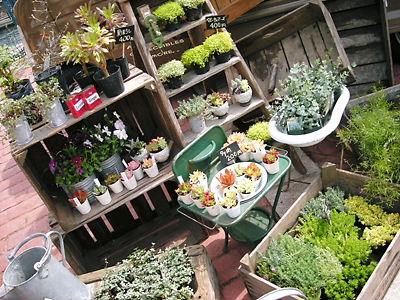 img20080415_3.jpg