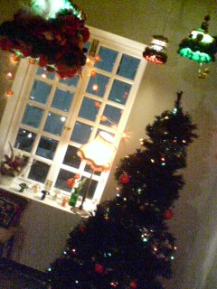 img20071111.jpg