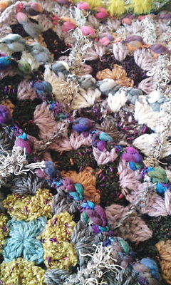 img20091213_8.jpg
