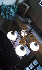 img20091230_6.jpg