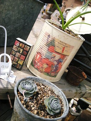 img20080415_2.jpg