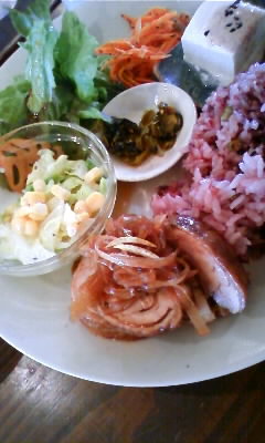 img20090129_2.jpg