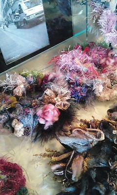 img20090919_3.jpg