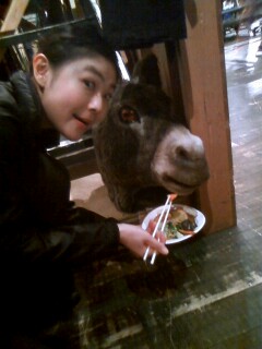 img20090327_1.jpg