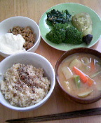 img20080225.jpg