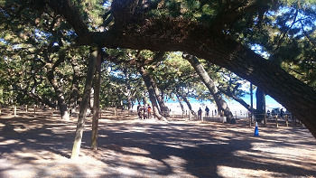 resize3530