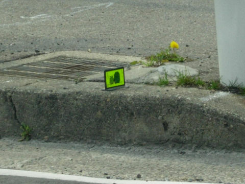 DSCN21720001.jpg