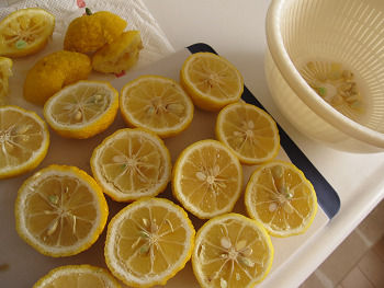 resize3546