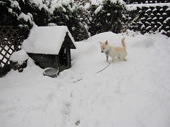 resize2473