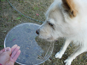 dscn93420002.jpg