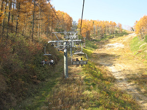 img_16030007.jpg