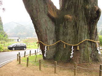 resize0657