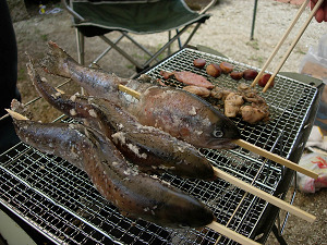 dscn58240005.jpg