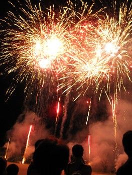 resize3446