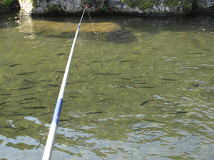 img_15810020.jpg