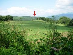 DSCN35160001.jpg