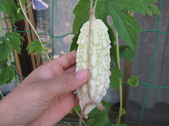 resize1450