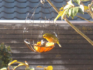resize3304