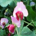 20050406_1637_000.jpg