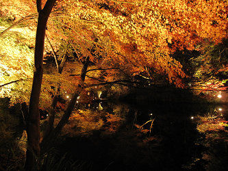 resize0759