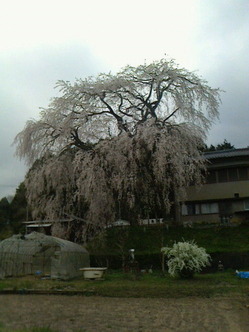 2013041213580001