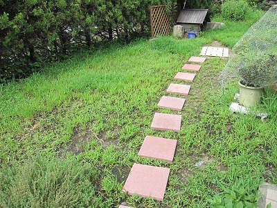 resize0521