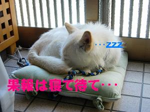 dscn77510001.jpg