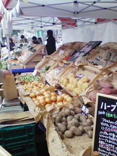201001311238000.jpg