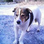 20060227_1521_000.jpg