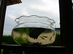 DSCN30960001.jpg