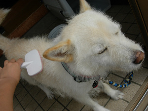 dscn76960005.jpg