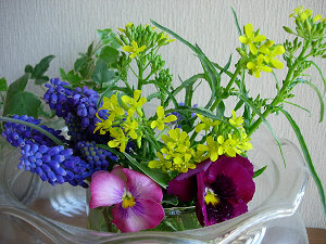 dscn73510002.jpg