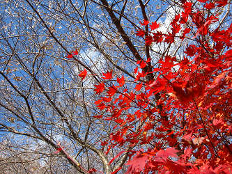 resize2397