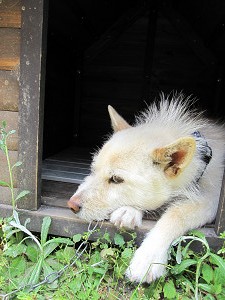 img_04750001.jpg