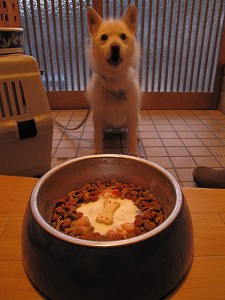 img_18070001.jpg