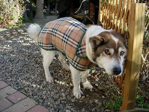 DSCN43120002.jpg