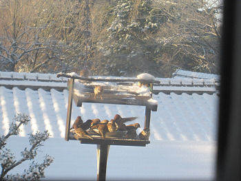 resize3564
