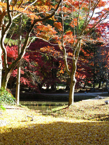 resize0011