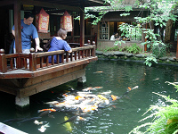 dscn00530044.jpg