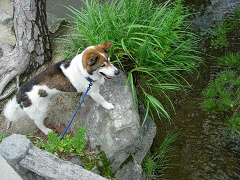 DSCN31090002.jpg