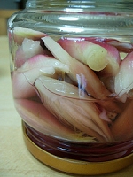 dscn751400010002.jpg
