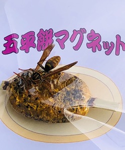 54D87946-9C15-41B8-869D-23893172AF04