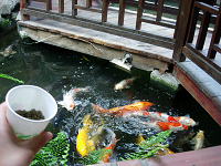 dscn00810064.jpg